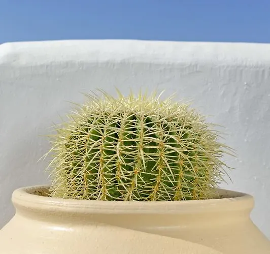 Castillio Ξενοδοχείο με διαμερίσματα 4*