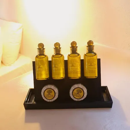 Castillio Aparthotel Analipsi (Astypalaia)