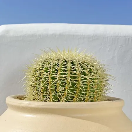 Castillio Aparthotel 4*