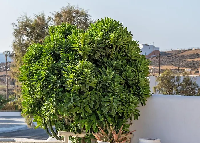 Castillio Apart Otel 4*